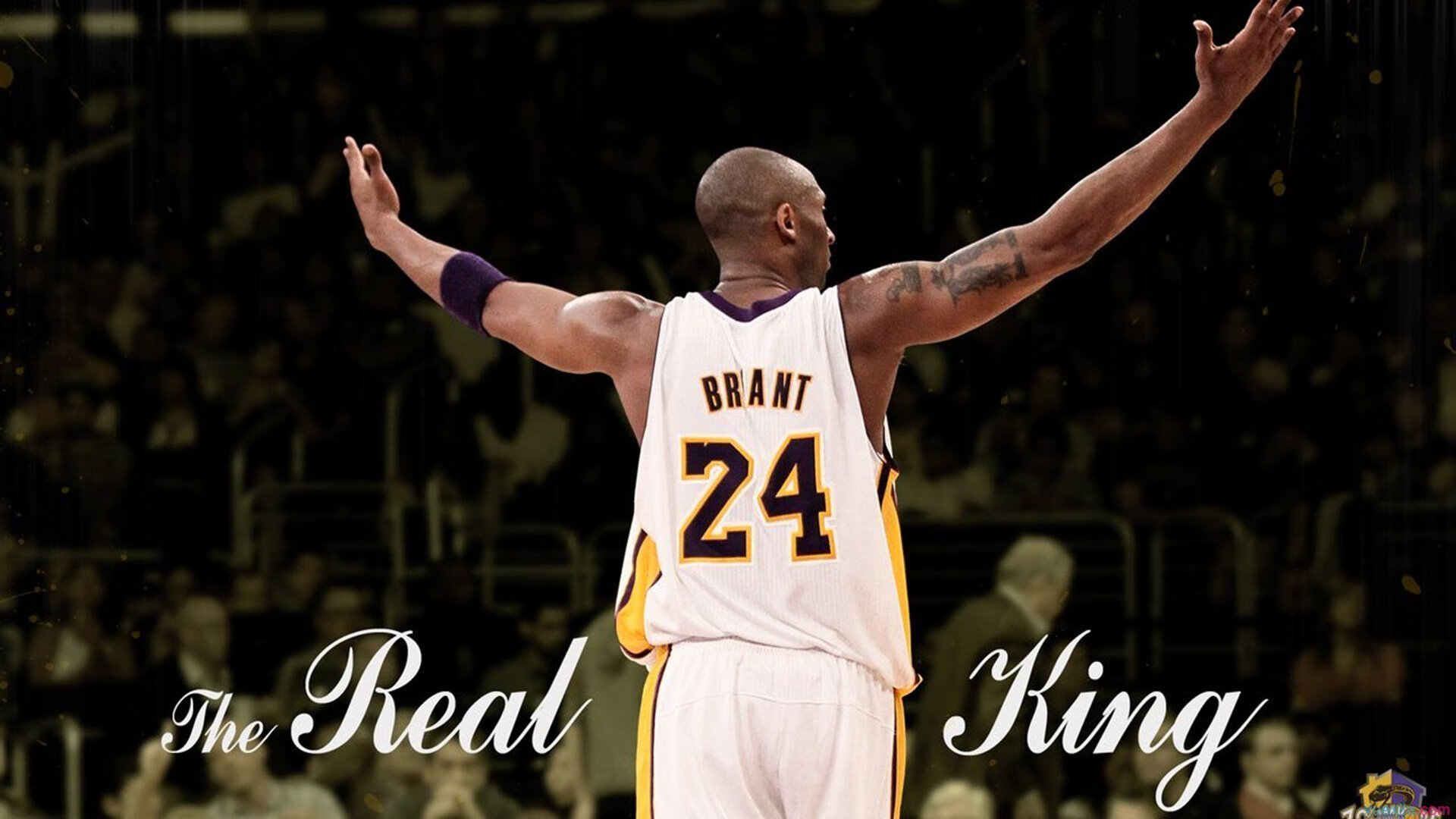 开云官网-武术锦标赛：传统技艺在现代赛场绽放光芒，传统武术精英赛